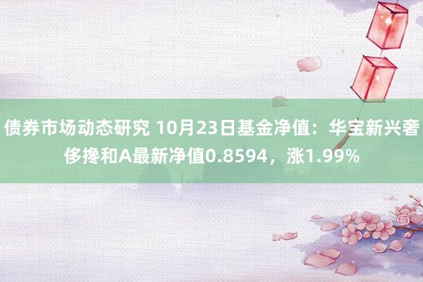 债券市场动态研究 10月23日基金净值：华宝新兴奢侈搀和A最新净值0.8594，涨1.99%