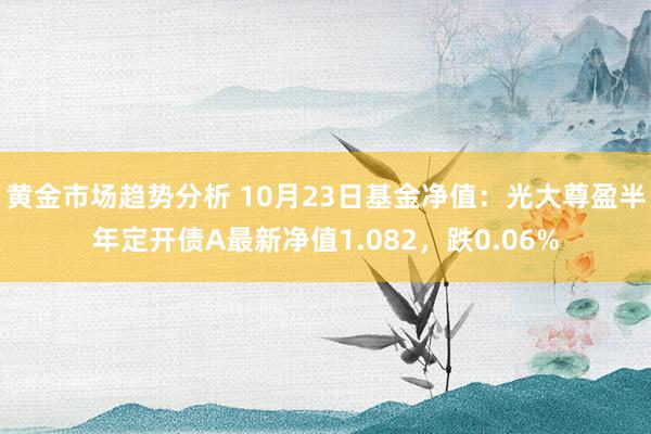 黄金市场趋势分析 10月23日基金净值：光大尊盈半年定开债A最新净值1.082，跌0.06%