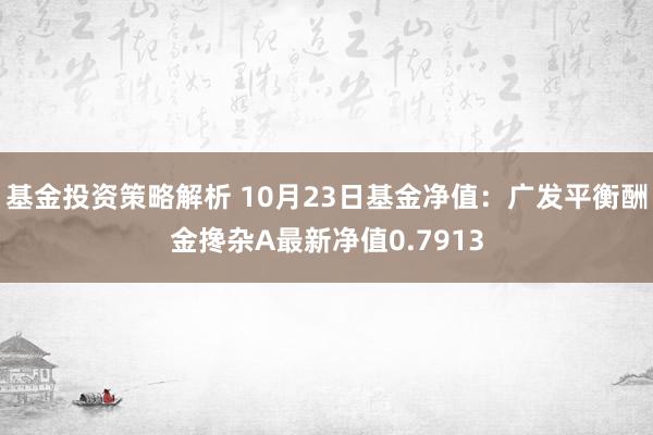 基金投资策略解析 10月23日基金净值：广发平衡酬金搀杂A最新净值0.7913