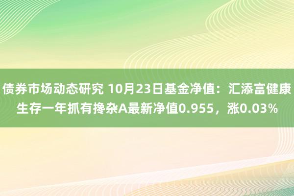 债券市场动态研究 10月23日基金净值：汇添富健康生存一年抓有搀杂A最新净值0.955，涨0.03%