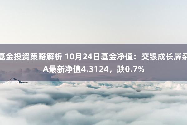 基金投资策略解析 10月24日基金净值：交银成长羼杂A最新净值4.3124，跌0.7%