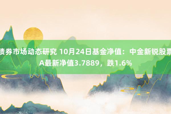 债券市场动态研究 10月24日基金净值：中金新锐股票A最新净值3.7889，跌1.6%