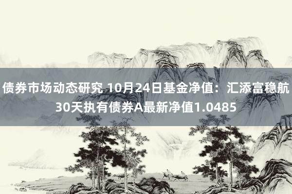 债券市场动态研究 10月24日基金净值：汇添富稳航30天执有债券A最新净值1.0485