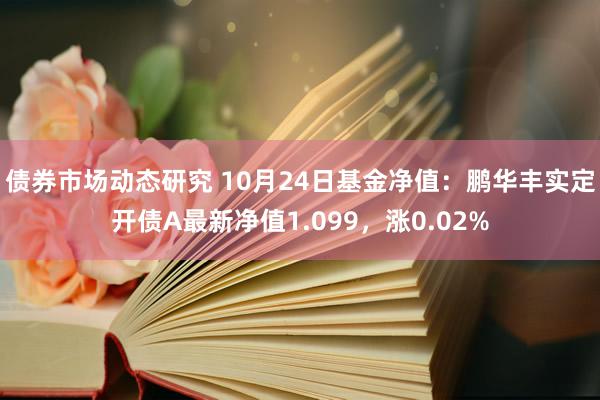 债券市场动态研究 10月24日基金净值：鹏华丰实定开债A最新净值1.099，涨0.02%