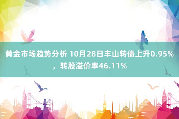 黄金市场趋势分析 10月28日丰山转债上升0.95%，转股溢价率46.11%