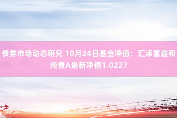 债券市场动态研究 10月24日基金净值：汇添富鑫和纯债A最新净值1.0227