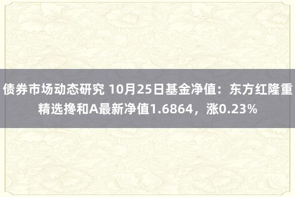 债券市场动态研究 10月25日基金净值：东方红隆重精选搀和A最新净值1.6864，涨0.23%