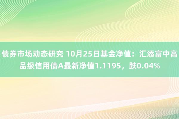 债券市场动态研究 10月25日基金净值：汇添富中高品级信用债A最新净值1.1195，跌0.04%