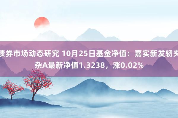 债券市场动态研究 10月25日基金净值：嘉实新发轫夹杂A最新净值1.3238，涨0.02%