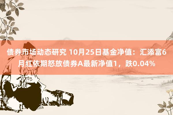 债券市场动态研究 10月25日基金净值：汇添富6月红依期怒放债券A最新净值1，跌0.04%