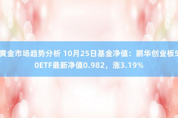 黄金市场趋势分析 10月25日基金净值：鹏华创业板50ETF最新净值0.982，涨3.19%