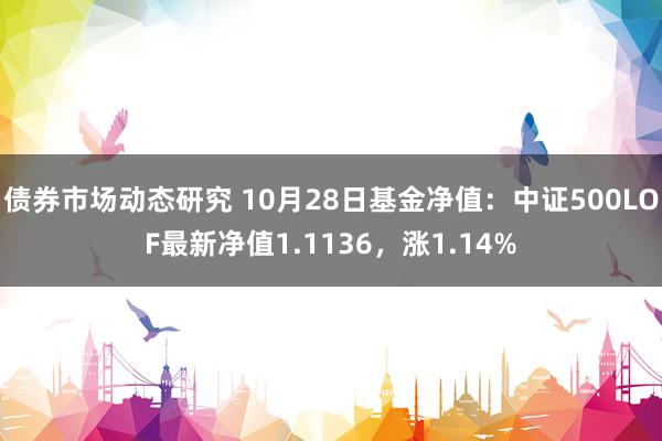 债券市场动态研究 10月28日基金净值：中证500LOF最新净值1.1136，涨1.14%