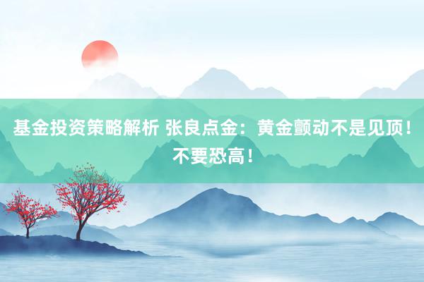 基金投资策略解析 张良点金：黄金颤动不是见顶！不要恐高！