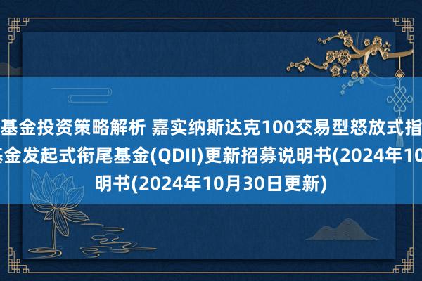 基金投资策略解析 嘉实纳斯达克100交易型怒放式指数证券投资基金发起式衔尾基金(QDII)更新招募说明书(2024年10月30日更新)