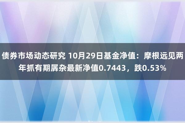 债券市场动态研究 10月29日基金净值：摩根远见两年抓有期羼杂最新净值0.7443，跌0.53%