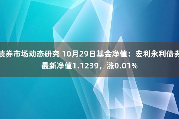 债券市场动态研究 10月29日基金净值：宏利永利债券最新净值1.1239，涨0.01%