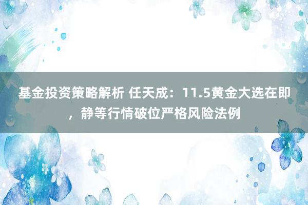 基金投资策略解析 任天成：11.5黄金大选在即，静等行情破位严格风险法例