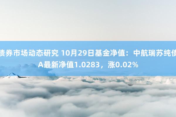 债券市场动态研究 10月29日基金净值：中航瑞苏纯债A最新净值1.0283，涨0.02%