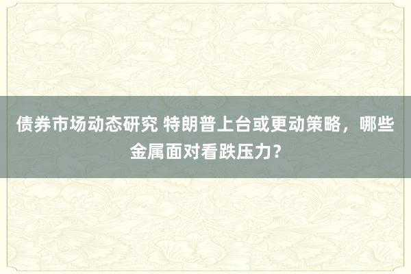 债券市场动态研究 特朗普上台或更动策略，哪些金属面对看跌压力？