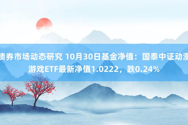 债券市场动态研究 10月30日基金净值：国泰中证动漫游戏ETF最新净值1.0222，跌0.24%