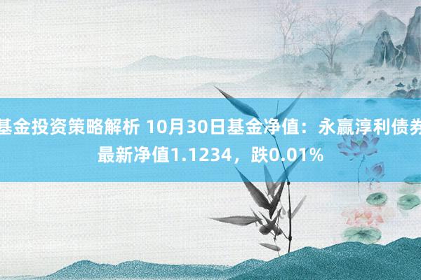 基金投资策略解析 10月30日基金净值：永赢淳利债券最新净值1.1234，跌0.01%