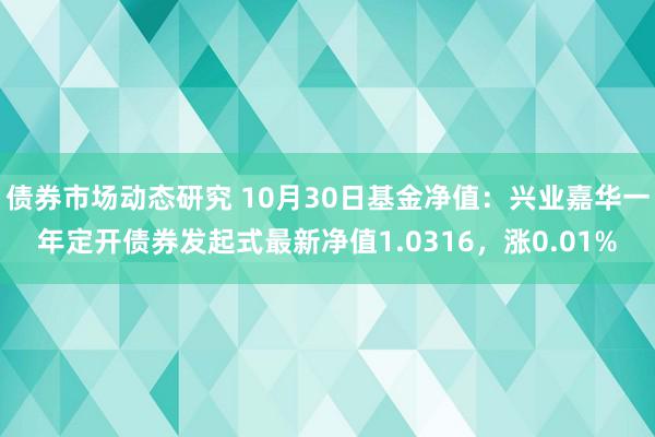 债券市场动态研究 10月30日基金净值：兴业嘉华一年定开债券发起式最新净值1.0316，涨0.01%