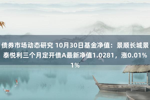 债券市场动态研究 10月30日基金净值：景顺长城景泰悦利三个月定开债A最新净值1.0281，涨0.01%