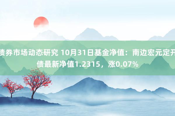 债券市场动态研究 10月31日基金净值：南边宏元定开债最新净值1.2315，涨0.07%