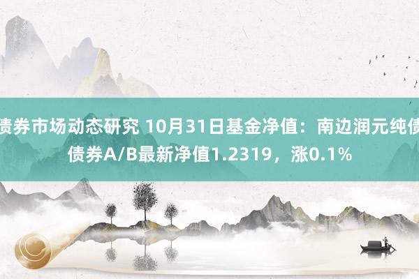 债券市场动态研究 10月31日基金净值：南边润元纯债债券A/B最新净值1.2319，涨0.1%