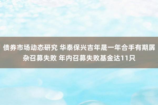 债券市场动态研究 华泰保兴吉年晟一年合手有期羼杂召募失败 年内召募失败基金达11只