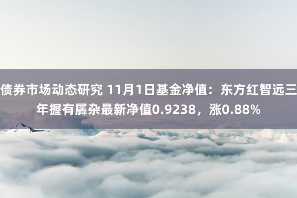 债券市场动态研究 11月1日基金净值：东方红智远三年握有羼杂最新净值0.9238，涨0.88%