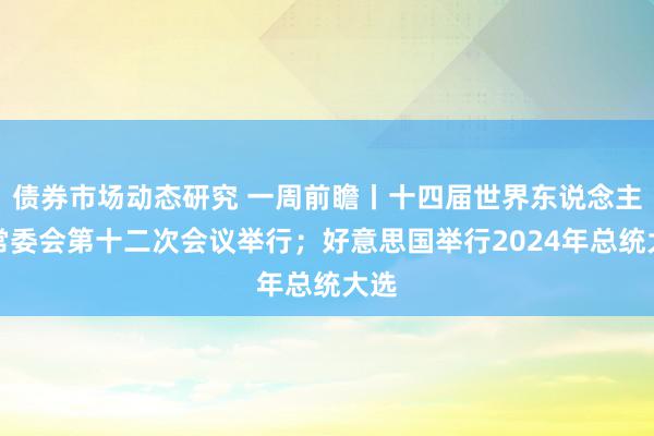 债券市场动态研究 一周前瞻丨十四届世界东说念主大常委会第十二次会议举行；好意思国举行2024年总统大选