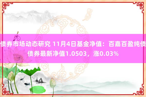 债券市场动态研究 11月4日基金净值：百嘉百盈纯债债券最新净值1.0503，涨0.03%