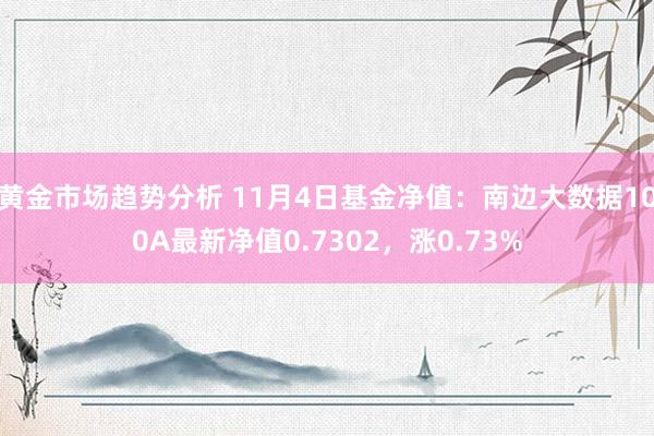 黄金市场趋势分析 11月4日基金净值：南边大数据100A最新净值0.7302，涨0.73%