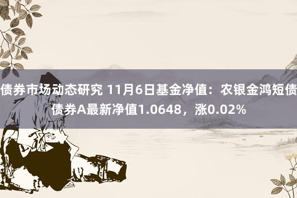 债券市场动态研究 11月6日基金净值：农银金鸿短债债券A最新净值1.0648，涨0.02%