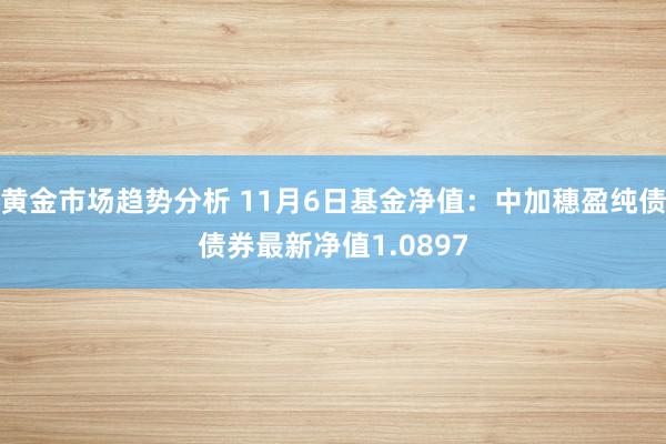 黄金市场趋势分析 11月6日基金净值：中加穗盈纯债债券最新净值1.0897