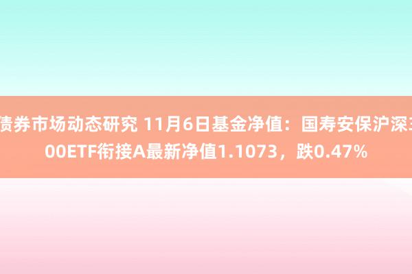 债券市场动态研究 11月6日基金净值：国寿安保沪深300ETF衔接A最新净值1.1073，跌0.47%