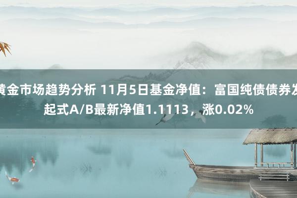 黄金市场趋势分析 11月5日基金净值：富国纯债债券发起式A/B最新净值1.1113，涨0.02%