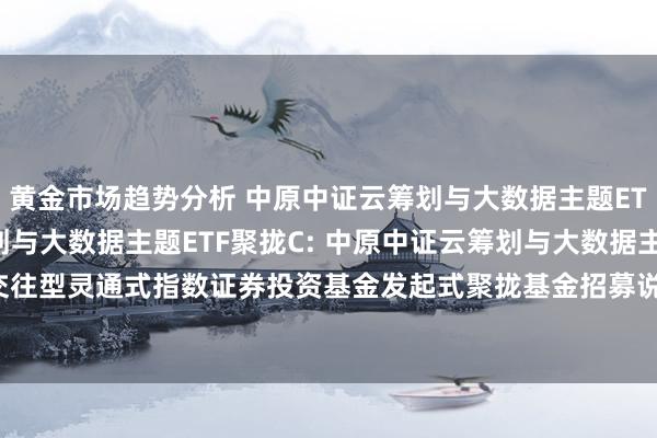 黄金市场趋势分析 中原中证云筹划与大数据主题ETF聚拢A,中原中证云筹划与大数据主题ETF聚拢C: 中原中证云筹划与大数据主题交往型灵通式指数证券投资基金发起式聚拢基金招募说明书更新(2024年11月7日公告)