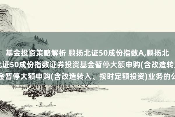 基金投资策略解析 鹏扬北证50成份指数A,鹏扬北证50成份指数C: 鹏扬北证50成份指数证券投资基金暂停大额申购(含改造转入、按时定额投资)业务的公告