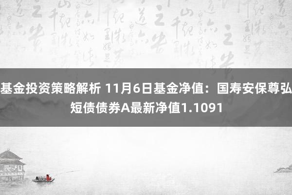 基金投资策略解析 11月6日基金净值：国寿安保尊弘短债债券A最新净值1.1091