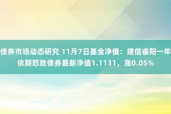 债券市场动态研究 11月7日基金净值：建信睿阳一年依期怒放债券最新净值1.1131，涨0.05%