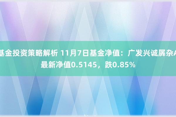 基金投资策略解析 11月7日基金净值：广发兴诚羼杂A最新净值0.5145，跌0.85%