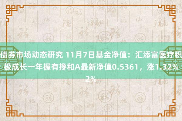 债券市场动态研究 11月7日基金净值：汇添富医疗积极成长一年握有搀和A最新净值0.5361，涨1.32%