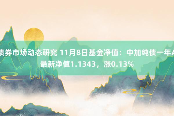 债券市场动态研究 11月8日基金净值：中加纯债一年A最新净值1.1343，涨0.13%