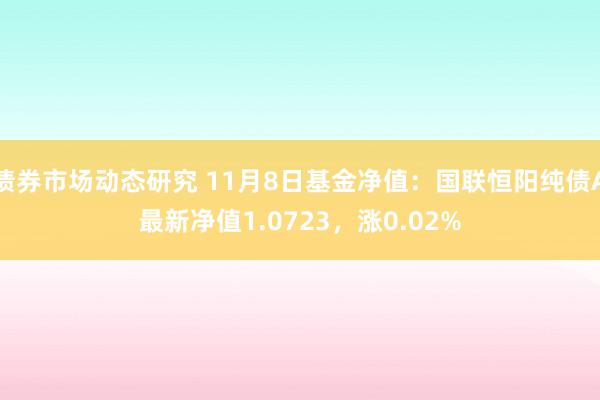 债券市场动态研究 11月8日基金净值：国联恒阳纯债A最新净值1.0723，涨0.02%