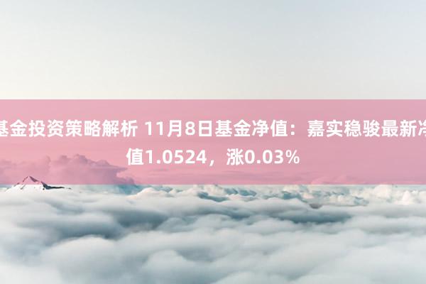 基金投资策略解析 11月8日基金净值：嘉实稳骏最新净值1.0524，涨0.03%