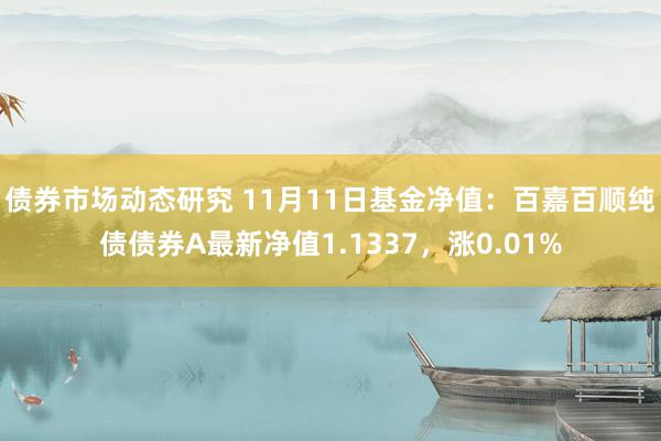 债券市场动态研究 11月11日基金净值：百嘉百顺纯债债券A最新净值1.1337，涨0.01%