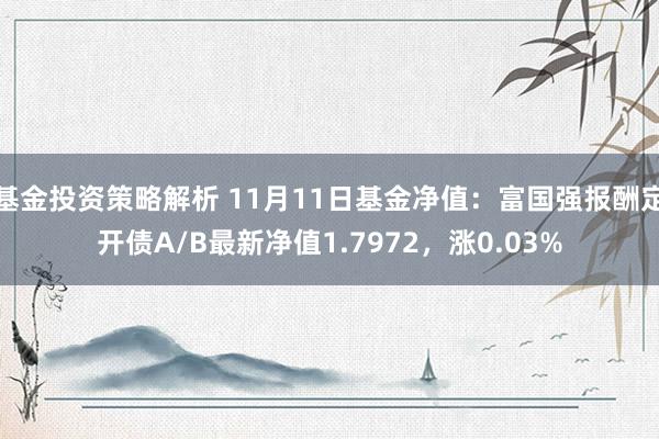 基金投资策略解析 11月11日基金净值：富国强报酬定开债A/B最新净值1.7972，涨0.03%