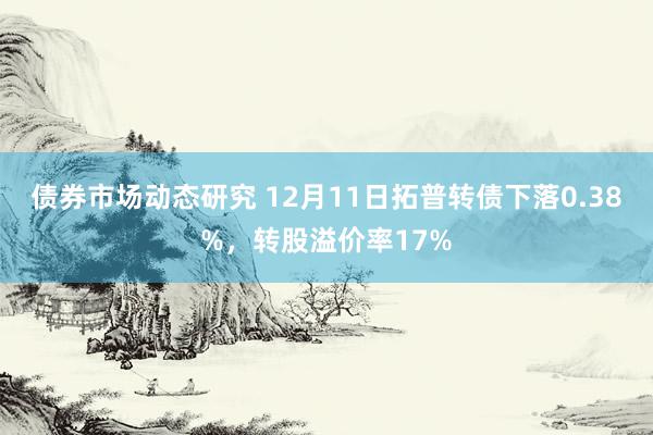 债券市场动态研究 12月11日拓普转债下落0.38%，转股溢价率17%